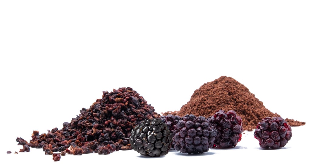 MicroDried® Blackberry Whole, Fragments & Powder