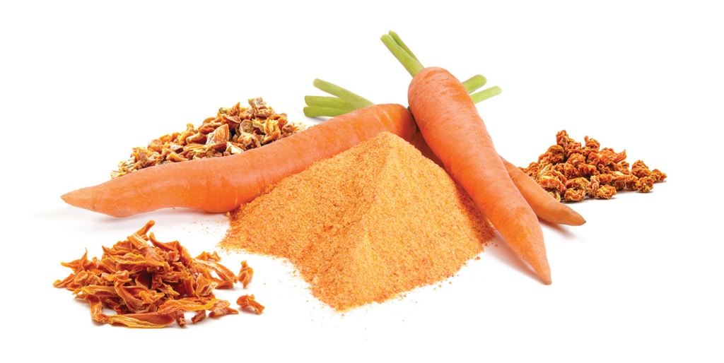 MicroDried® Carrots and Organic Carrots Diced, Sliced, Fragments, and Powder