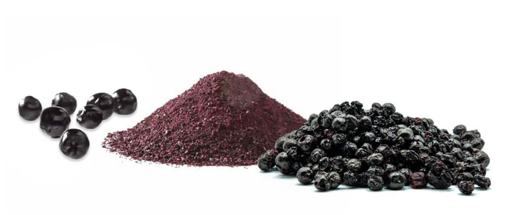 MicroDried® Elderberry Whole and Powder