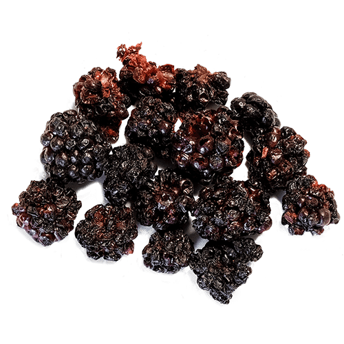 MicroDried dried ingredients blackberry