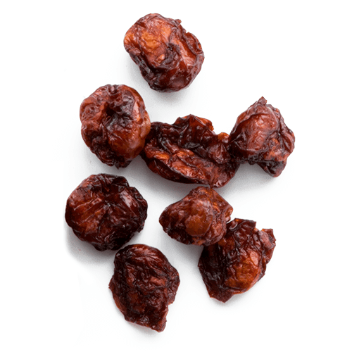 MicroDried dried ingredients cherry fragments