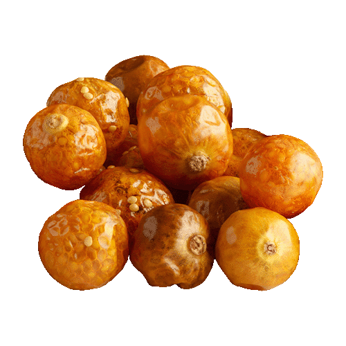 MicroDried dried GOLDENBERRY fragments, dried GOLDENBERRY powder, dried whole GOLDENBERRY